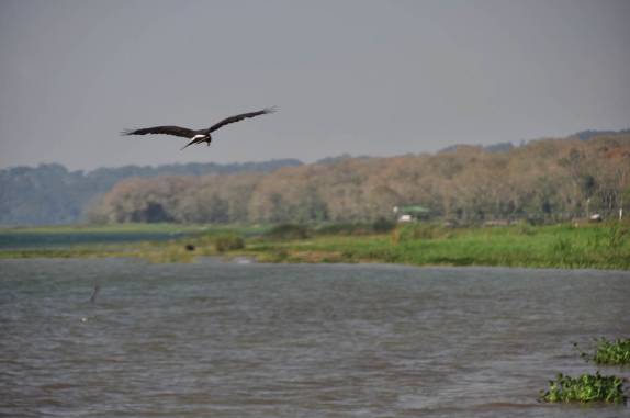 Lago Yojoa, região central de Honduras